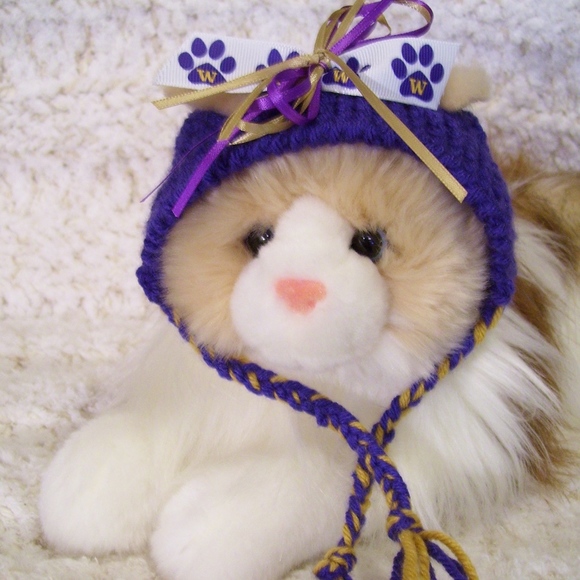 uw husky stuffed animal
